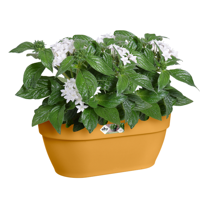 vibia campana wandampel 35cm honig gelb